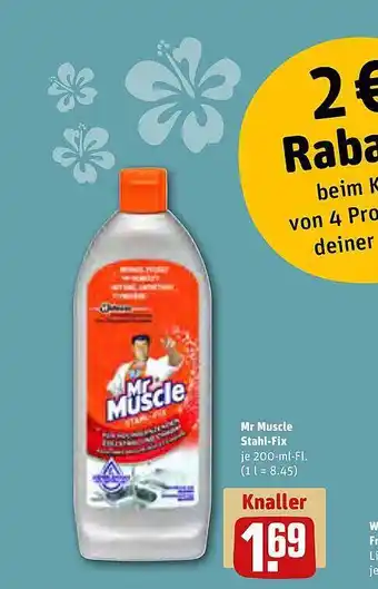 REWE Kaufpark Mr. muscle stahl-fix Angebot