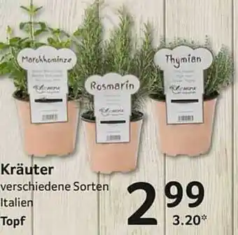 Selgros Kräuter Angebot