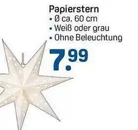 Rossmann Papierstern Angebot