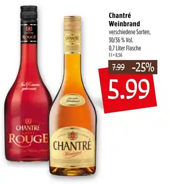 Kupsch Chantré Weinbrand 0,7L Angebot