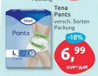 Budni Tena Pants Angebot