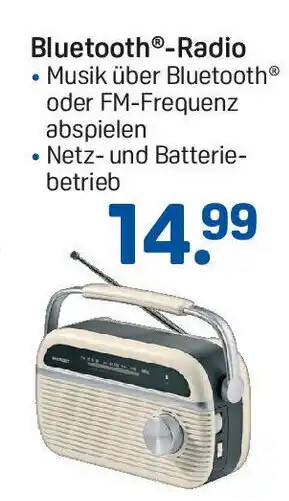 Rossmann Radio Bluetooth Angebot