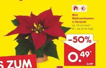 Netto Marken-Discount Mini weihnachtsstern in keramik Angebot