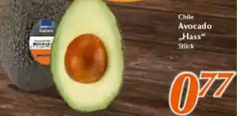 inkoop Chile Avocado Hass Angebot