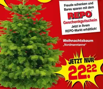 Repo Markt Nordmanntanne Weihnachtsbaum Angebot