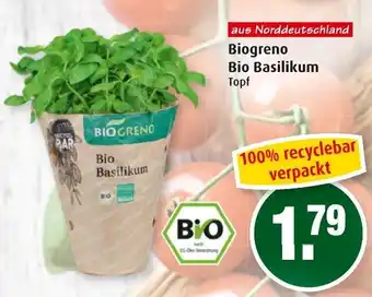 Markant Biogreno Bio Basilikum Angebot