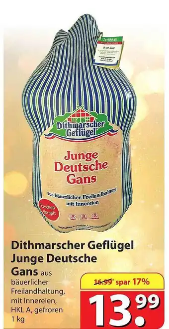 Famila Nord Ost Dithmarscher geflügel junge deutsche gans Angebot