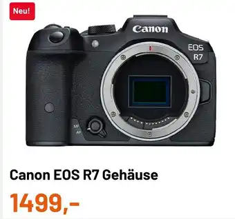 Kamera Express Canon EOS R7 Gehause Angebot