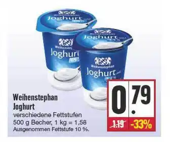 E Reichelt Weihenstephan Joghurt 500g Angebot