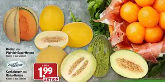 Wasgau Honig oder Piel de Sapo Melone 1kg oder SanLucar Cantaloupe oder Galia Melone Angebot