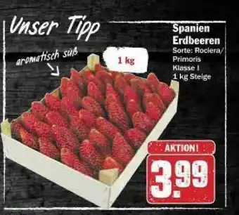 dodenhof Spanien Erdbeeren 1kg Angebot