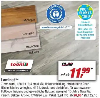toom Baumarkt Laminat Angebot