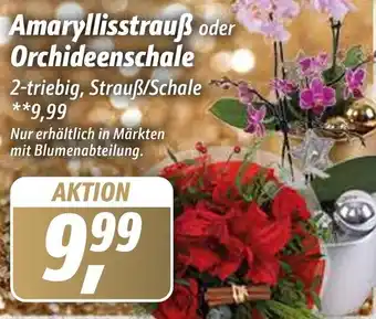 Simmel Amaryllisstrauß oder Orchideenschale Angebot