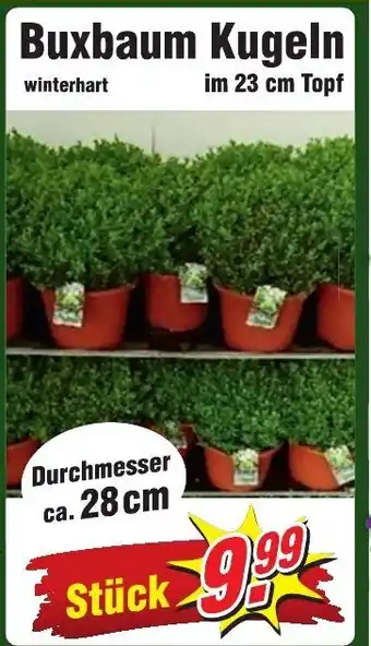 Wiglo Wunderland Buxbaum Kugeln Angebot