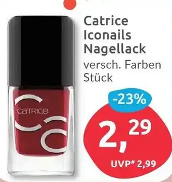 Budni Catrice Iconails Nagellack Angebot