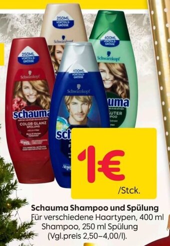 Rusta Schauma Shampoo und Spülung Angebot
