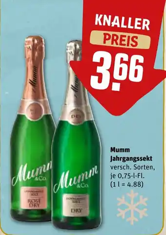 REWE Mumm Jahrgangssekt 0,75 l Fl. Angebot