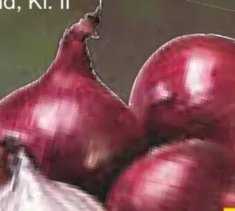 Netto Marken-Discount Rote zwiebeln Angebot