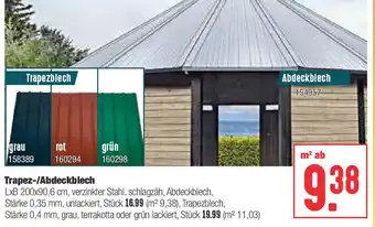 Hellweg Trapez/Abdeckblech Angebot