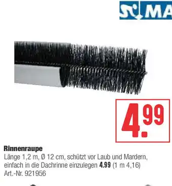 Hellweg Rinnenraupe Angebot