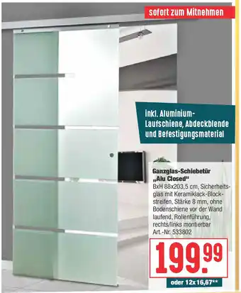 Hellweg Ganzglas Schiebetür Alu Closed Angebot