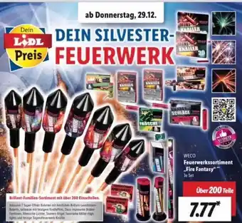 Lidl Weco feuerwerkssortiment „fire fantasy“ Angebot