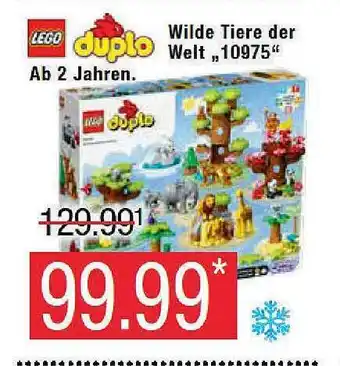 Marktkauf Lego duplo wilde tiere der welt „10975“ Angebot