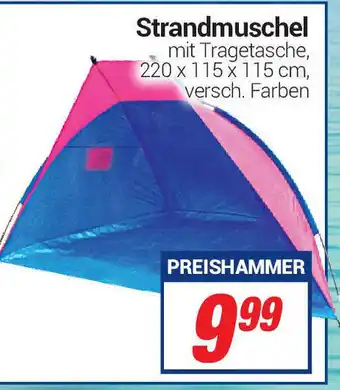 CENTERSHOP Strandmuschel Angebot