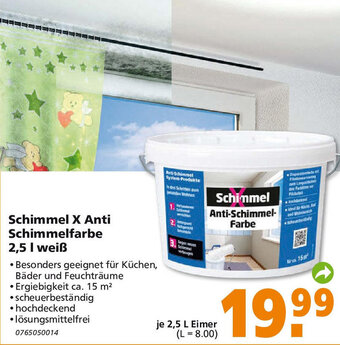 Globus Baumarkt Schimmel X Anti Schimmelfarbe 2,5 L weiß Angebot