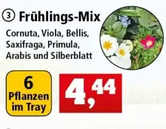 Thomas Philipps Frühlings Mix Angebot