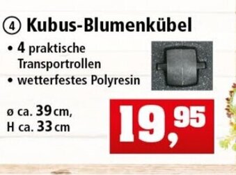 Thomas Philipps Kubus Blumenkübel Angebot