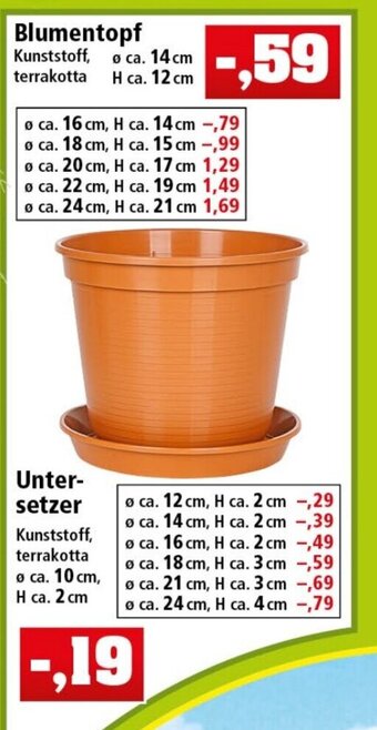 Thomas Philipps Blumentopf oder Untersetzer Angebot