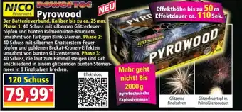 Norma Nico Powertec Pyrowood 120 Schuss Angebot