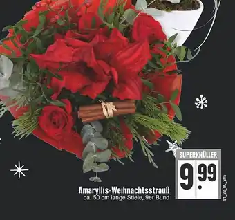 E-Center Amaryllis-weihnachtsstrauß Angebot