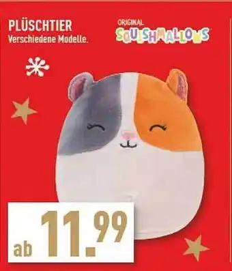 Marktkauf Plüschtier original squishmallows Angebot