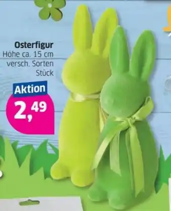 Budni Osterfigur Angebot