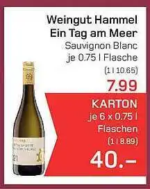 akzenta Weingut hammel ein tag am meer Angebot