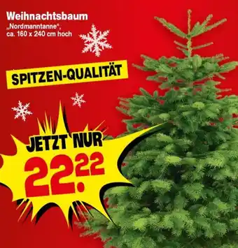 Repo Markt Weihnachtsbaum Nordmanntanne Angebot