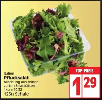 Edeka Pflücksalat 125 g Schale Angebot