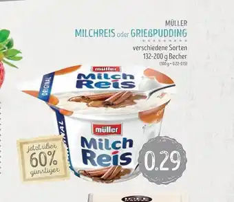 Edeka Struve Müller milchreis oder grießpudding Angebot