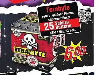 Wiglo Wunderland Terabyte 25 schuss batterie Angebot