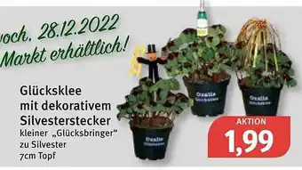 Feneberg Glücksklee mit dekorativem silvesterstecker Angebot