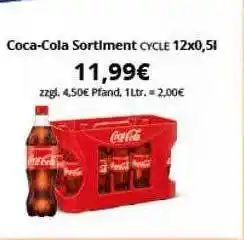 Sagasser Coca-cola sortiment cycle Angebot