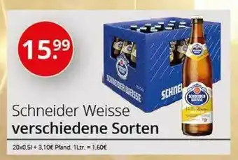 Sagasser Schneider weisse verschiedene sorten Angebot