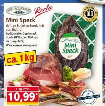 Norma Recla mini speck Angebot