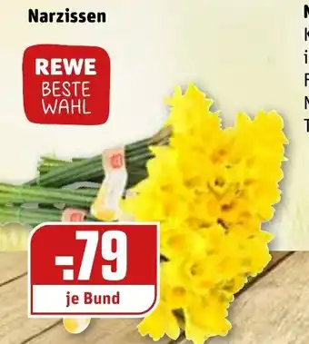 REWE Narzissen Angebot