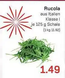 akzenta Rucola Angebot