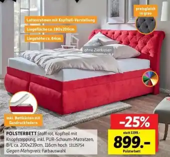 SCONTO Polsterbett Angebot