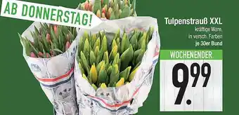 E-Center Tulpenstrauẞ XXL Angebot