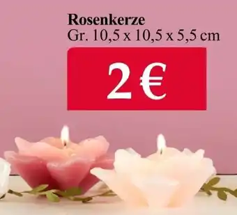 Woolworth Rosenkerze Angebot